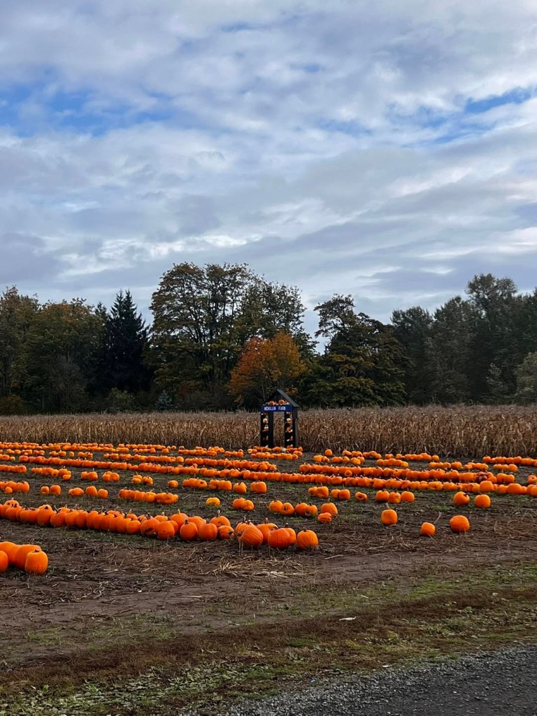 Tales o' this portrait be a mystery.